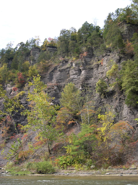 DSCN0099.JPG