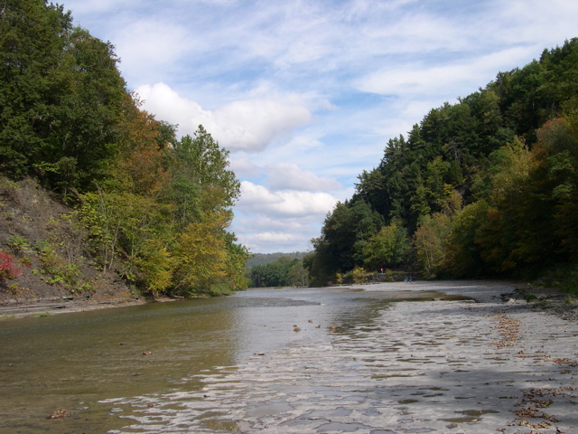 DSCN0105.JPG