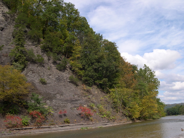 DSCN0110.JPG