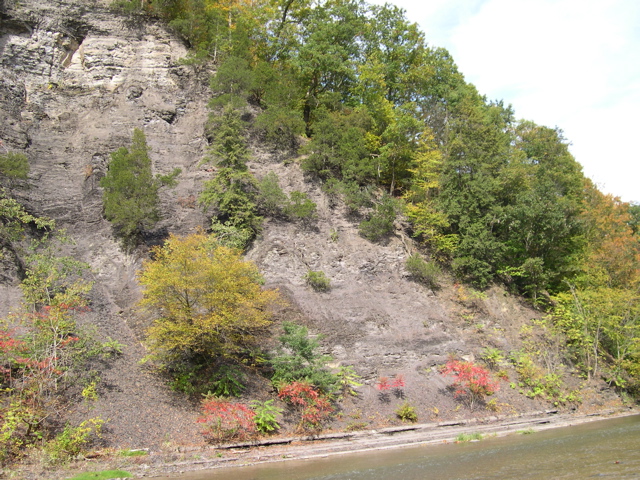 DSCN0109.JPG