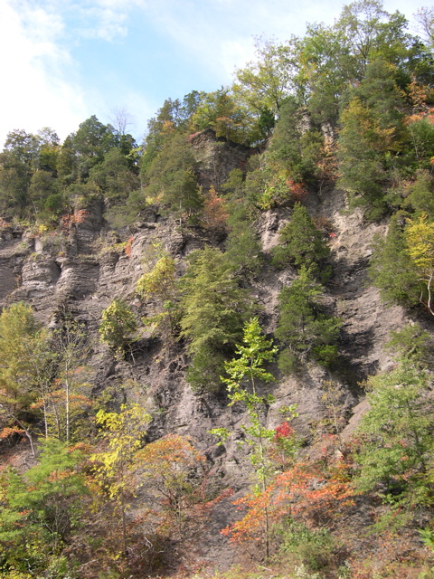 DSCN0114.JPG