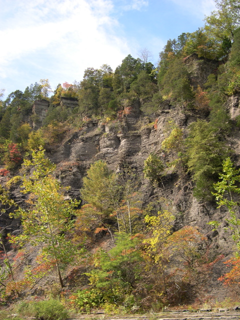 DSCN0115.JPG