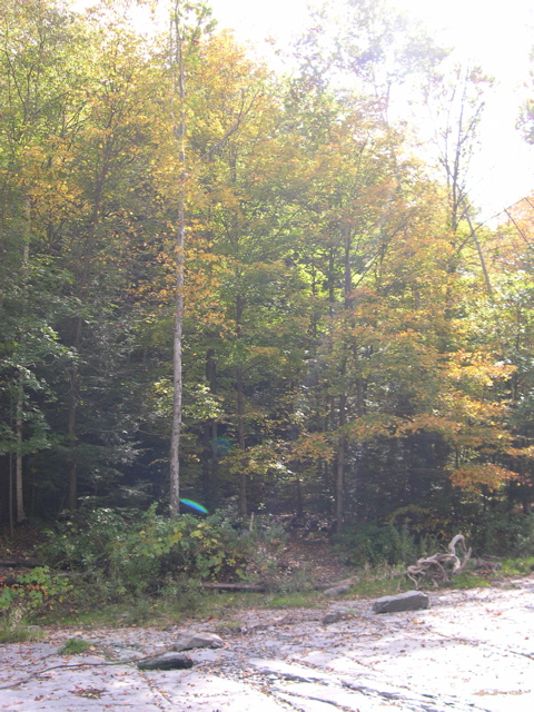 DSCN0122.JPG