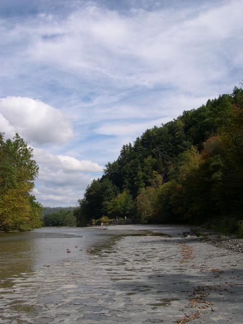 DSCN0128.JPG
