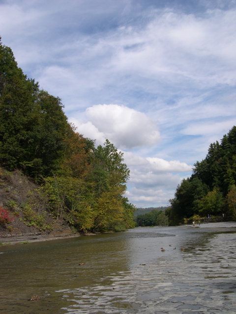 DSCN0129.JPG