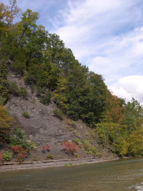 DSCN0130.JPG
