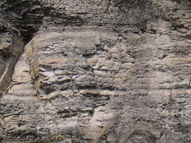 DSCN0136.JPG