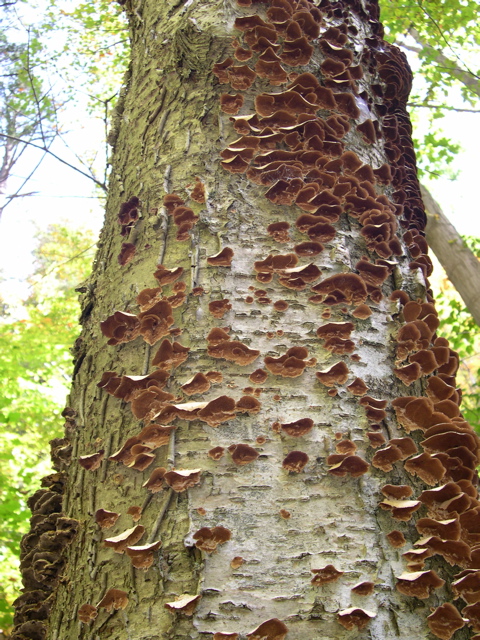 DSCN0140.JPG