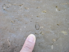 DSCN0057.JPG