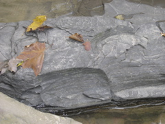 DSCN0160.JPG
