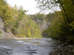 DSCN0161.JPG