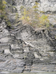 DSCN0164.JPG