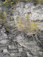DSCN0165.JPG
