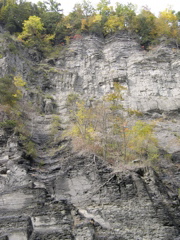 DSCN0166.JPG