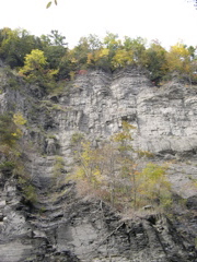 DSCN0167.JPG