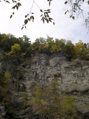 DSCN0168.JPG
