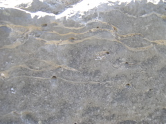 DSCN0058.JPG