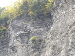 DSCN0170.JPG