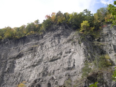 DSCN0171.JPG