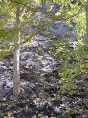DSCN0059.JPG