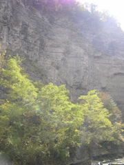 DSCN0184.JPG