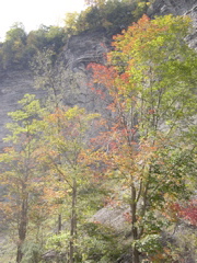 DSCN0190.JPG