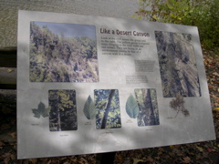 DSCN0195.JPG