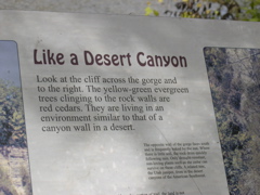 DSCN0196.JPG