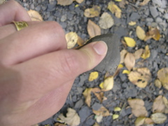 DSCN0066.JPG