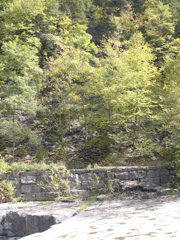 DSCN0067.JPG