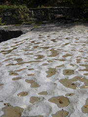 DSCN0068.JPG