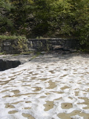 DSCN0069.JPG