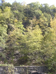 DSCN0071.JPG