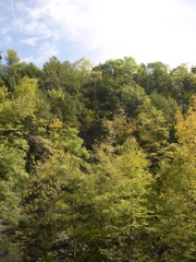 DSCN0072.JPG