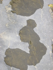 DSCN0074.JPG