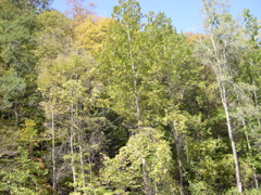 DSCN0075.JPG