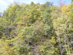 DSCN0076.JPG