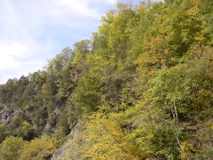 DSCN0077.JPG