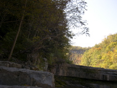 DSCN0049.JPG