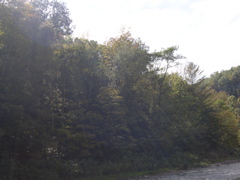 DSCN0084.JPG