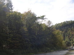 DSCN0085.JPG