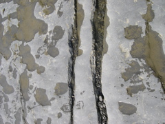 DSCN0087.JPG