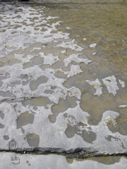 DSCN0088.JPG