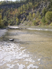 DSCN0090.JPG