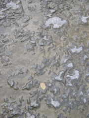 DSCN0094.JPG