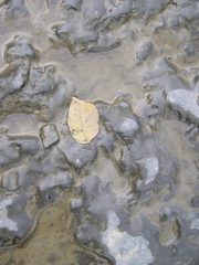 DSCN0095.JPG
