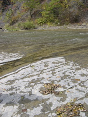 DSCN0096.JPG