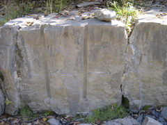DSCN0051.JPG