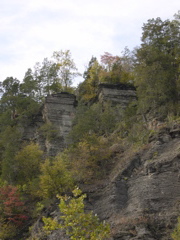 DSCN0101.JPG