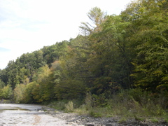 DSCN0106.JPG